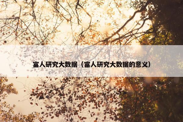 富人研究大数据（富人研究大数据的意义）