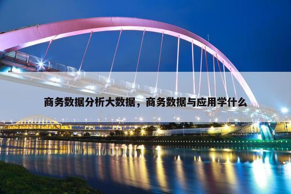 商务数据分析大数据，商务数据与应用学什么