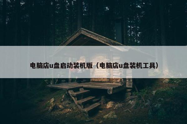 电脑店u盘启动装机版（电脑店u盘装机工具）