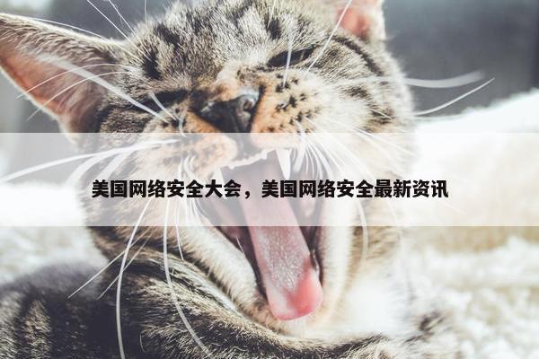 美国网络安全大会，美国网络安全最新资讯