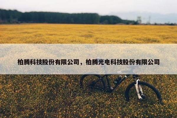 柏腾科技股份有限公司，柏腾光电科技股份有限公司