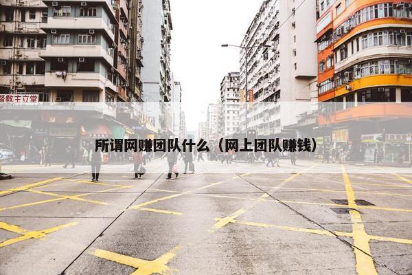 所谓网赚团队什么（网上团队赚钱）