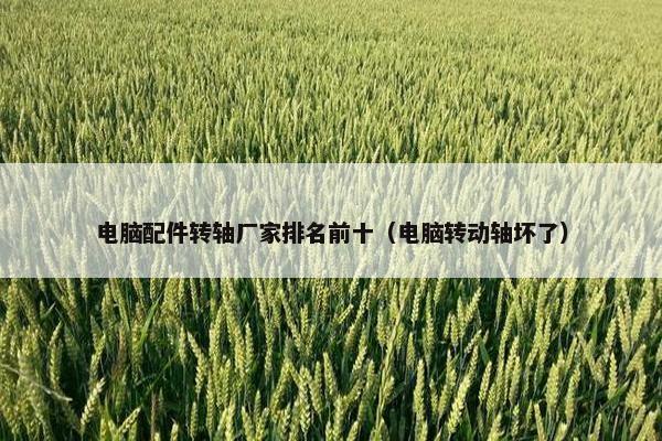 电脑配件转轴厂家排名前十（电脑转动轴坏了）