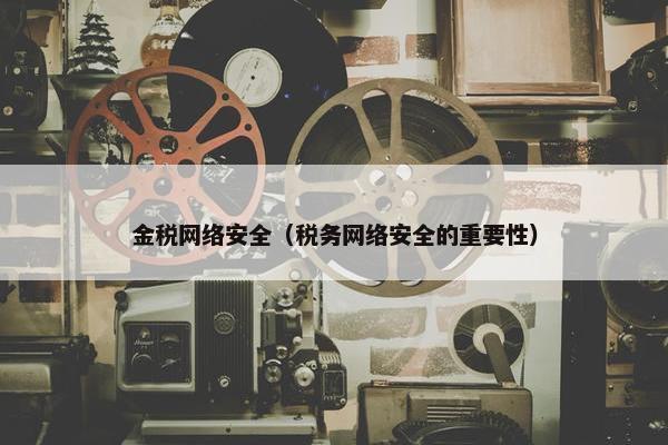 金税网络安全（税务网络安全的重要性）