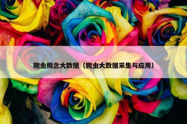 爬虫概念大数据（爬虫大数据采集与应用）