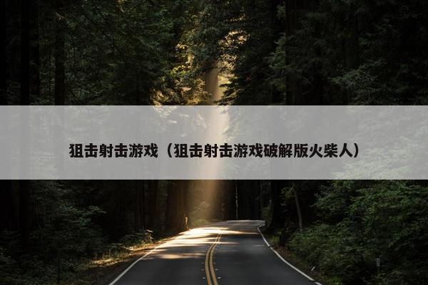 狙击射击游戏（狙击射击游戏破解版火柴人）