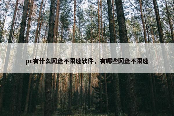 pc有什么网盘不限速软件，有哪些网盘不限速