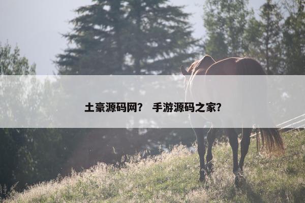 土豪源码网？ 手游源码之家？