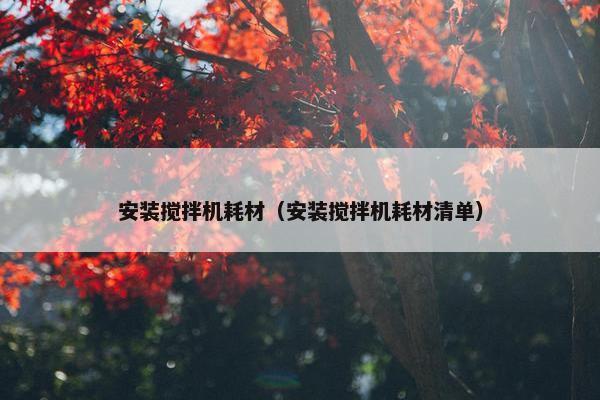 安装搅拌机耗材（安装搅拌机耗材清单）