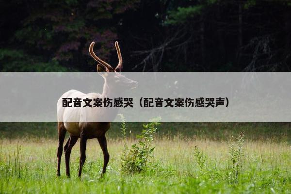 配音文案伤感哭（配音文案伤感哭声）