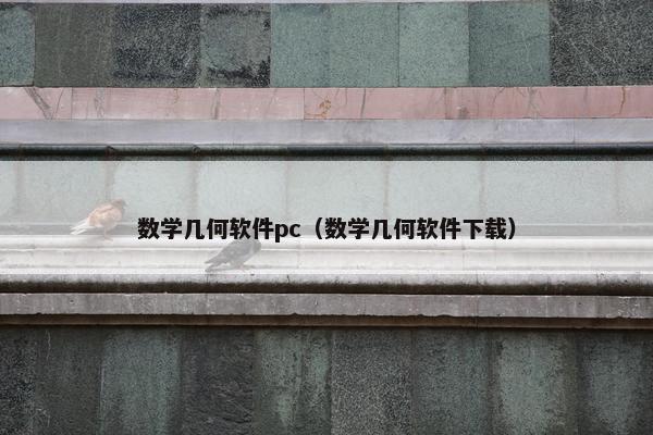 数学几何软件pc（数学几何软件下载）