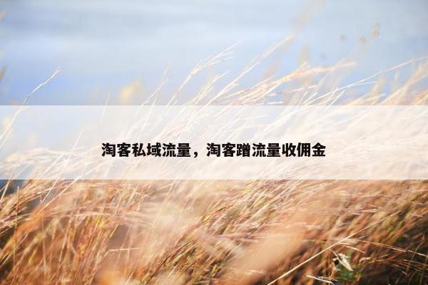 淘客私域流量，淘客蹭流量收佣金