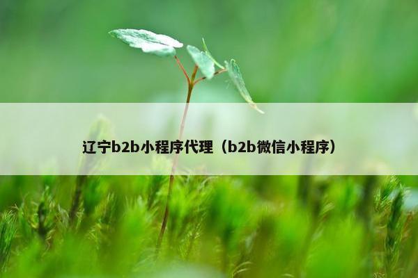 辽宁b2b小程序代理（b2b微信小程序）
