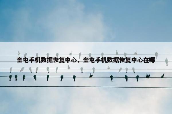 奎屯手机数据恢复中心，奎屯手机数据恢复中心在哪