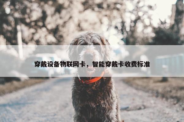 穿戴设备物联网卡，智能穿戴卡收费标准