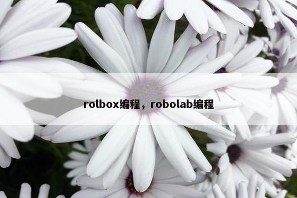 rolbox编程，robolab编程
