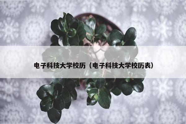 电子科技大学校历（电子科技大学校历表）
