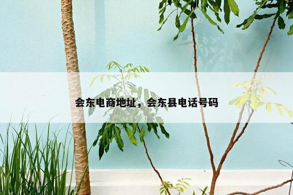 会东电商地址，会东县电话号码