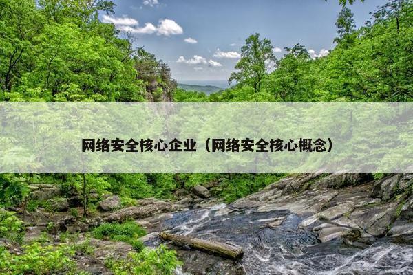 网络安全核心企业（网络安全核心概念）