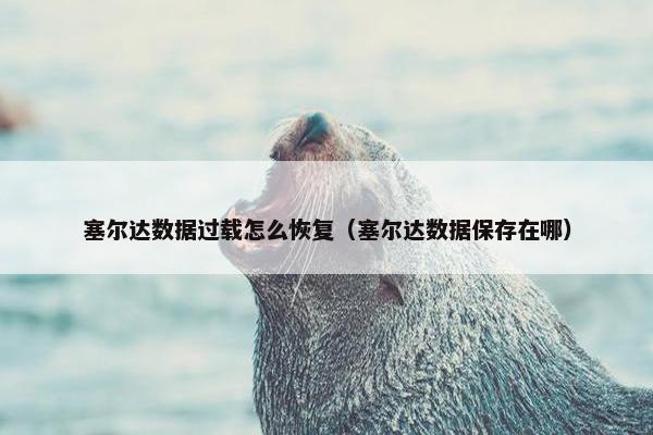 塞尔达数据过载怎么恢复（塞尔达数据保存在哪）