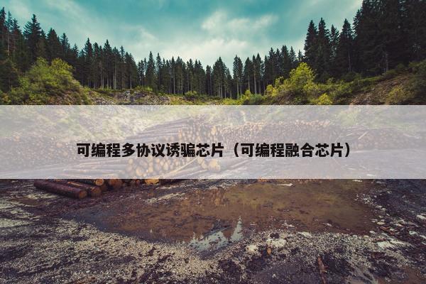 可编程多协议诱骗芯片（可编程融合芯片）
