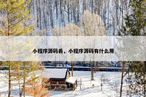 小程序源码丢，小程序源码有什么用