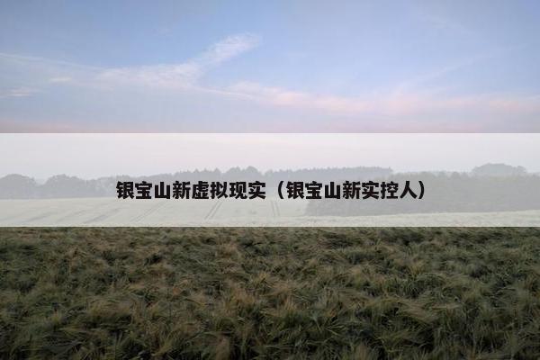 银宝山新虚拟现实（银宝山新实控人）