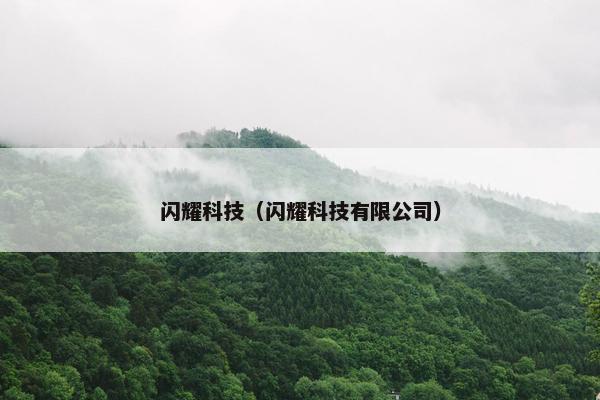 闪耀科技（闪耀科技有限公司）