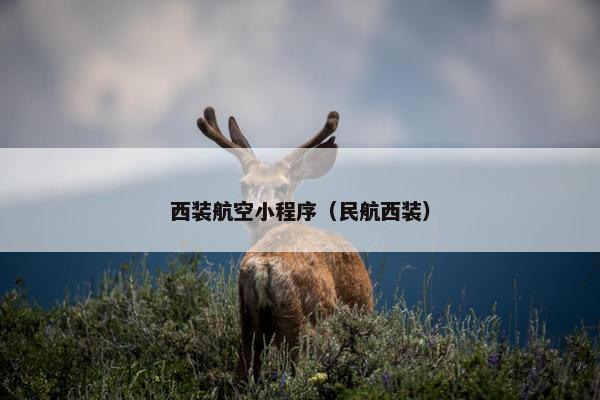 西装航空小程序（民航西装）