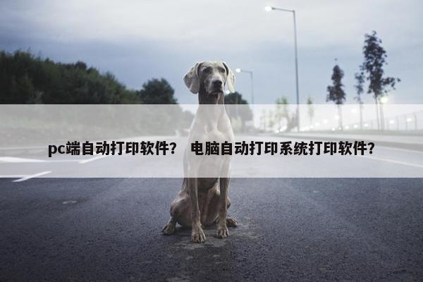 pc端自动打印软件？ 电脑自动打印系统打印软件？