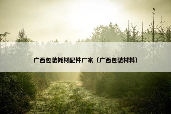 广西包装耗材配件厂家（广西包装材料）