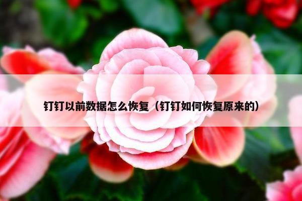 钉钉以前数据怎么恢复（钉钉如何恢复原来的）
