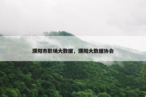 濮阳市职场大数据，濮阳大数据协会