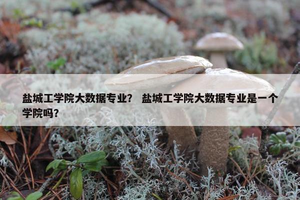 盐城工学院大数据专业？ 盐城工学院大数据专业是一个学院吗？