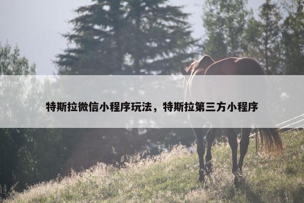 特斯拉微信小程序玩法，特斯拉第三方小程序