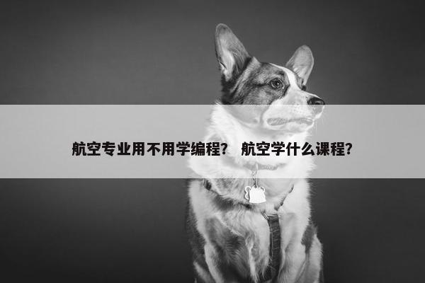 航空专业用不用学编程？ 航空学什么课程？