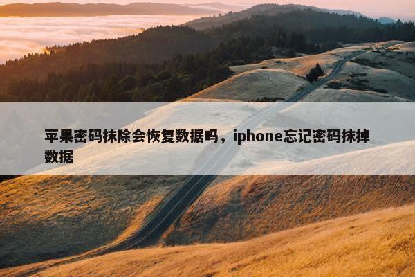 苹果密码抹除会恢复数据吗，iphone忘记密码抹掉数据