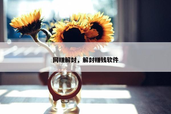 网赚解封，解封赚钱软件