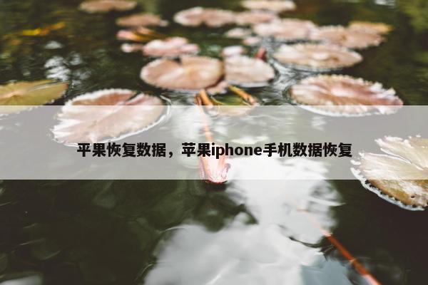 平果恢复数据，苹果iphone手机数据恢复