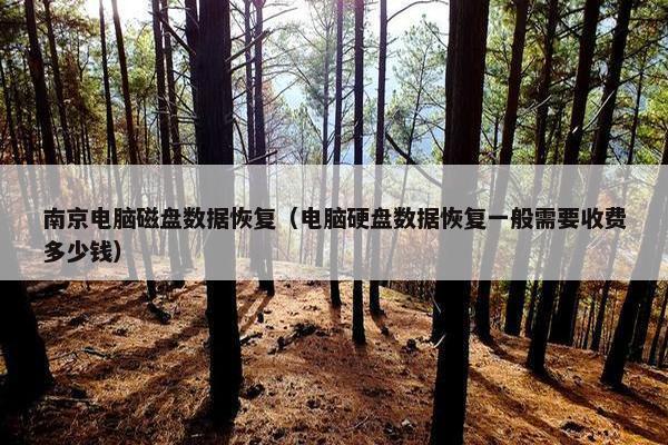 南京电脑磁盘数据恢复（电脑硬盘数据恢复一般需要收费多少钱）