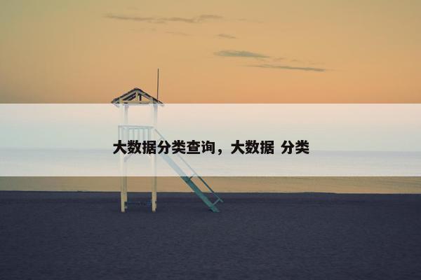 大数据分类查询，大数据 分类