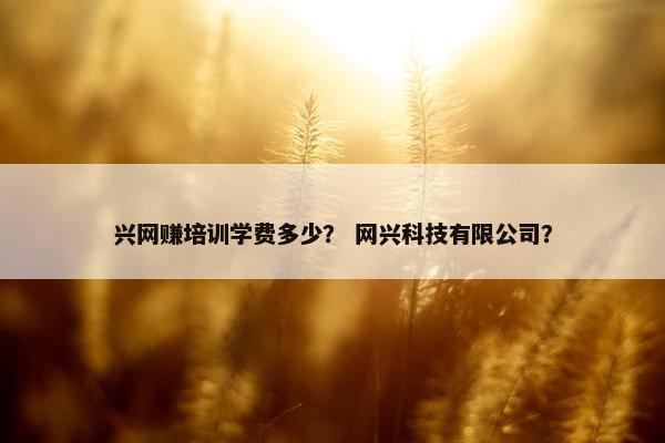 兴网赚培训学费多少？ 网兴科技有限公司？