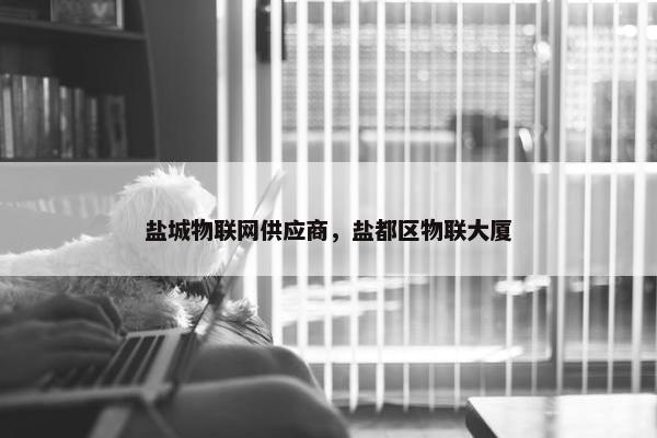 盐城物联网供应商，盐都区物联大厦
