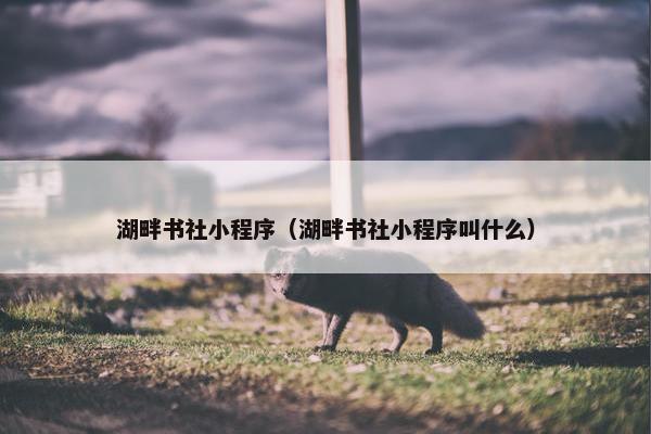 湖畔书社小程序（湖畔书社小程序叫什么）