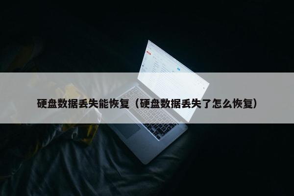 硬盘数据丢失能恢复（硬盘数据丢失了怎么恢复）