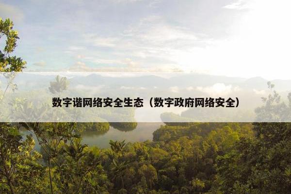 数字谐网络安全生态（数字政府网络安全）
