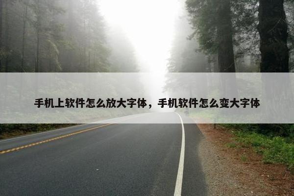 手机上软件怎么放大字体，手机软件怎么变大字体