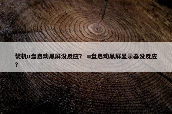 装机u盘启动黑屏没反应？ u盘启动黑屏显示器没反应？