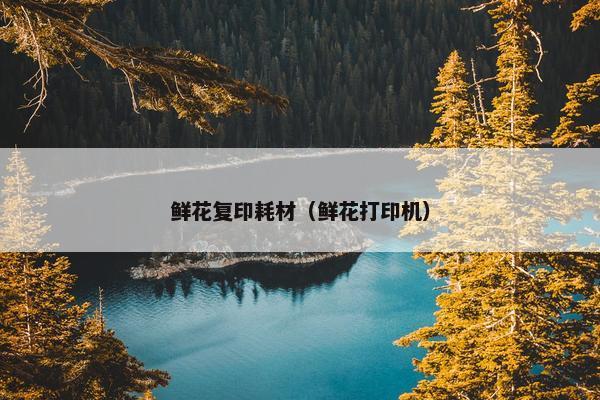 鲜花复印耗材（鲜花打印机）