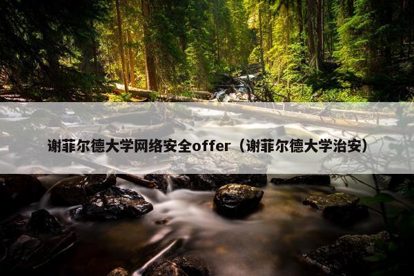 谢菲尔德大学网络安全offer（谢菲尔德大学治安）